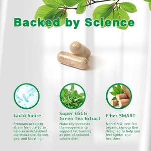 Cápsulas prebióticas Probio Slim de etiqueta privada con extracto de té verde Lacto Spore Suplemento de hierbas para apoyar la pérdida de peso para adultos - Product Image 4