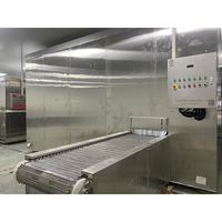 Kleine IQF Tunnelvriezer 100kg/uur Hoge-Nauwkeurigheid Snelvriesmachine voor Groente- en Fruitverwerking