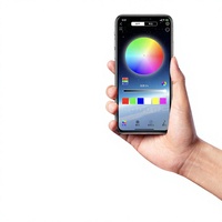 Kit de rétrofit/amélioration d'éclairage automobile 12V avec yeux de démon RGB multicolores 2024, contrôle par application, garantie de 12 mois