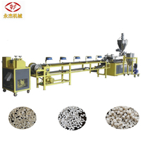 Machine de granulation à double vis parallèle co-rotative biodégradable YongJie avec moteur, PLC et boîte de vitesses, haute performance, 13 sections, certifiée CE ISO9001