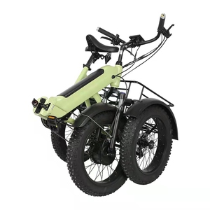 Joyebikes-triciclo eléctrico para personas con movilidad reducida, <span class=keywords><strong>tribike</strong></span> de carga eléctrica de 3 ruedas - Product Image 6