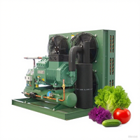 Nueva Unidad de Compresor Scroll Semi-Encerrado Automático R404a/380V para Refrigeración Ecológica de Congeladores, Capacidad de Refrigeración de 4-10kW