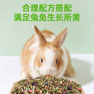 Nourriture pour lapins Pethunder Multi Vitamines Fruits Légumes 500g Aliment sec Aliment de base pour petits animaux - Product Image 3