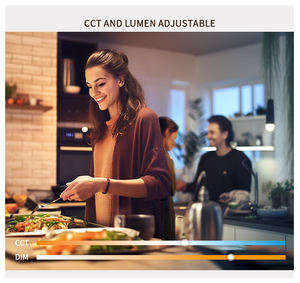 Led downlight CCT mr16 módulo COB 24V 10,4 W 12/24/36/60 grados sintonizable blanco led iluminación mr16 módulo - Product Image 5