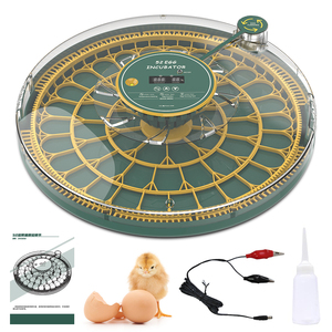 Incubadora automática de huevos 52Egg <span class=keywords><strong>Mini</strong></span> Incubadora de huevos Incubadora de doble potencia para pollos Aves de Corral Pato Máquina para incubar huevos - Product Image 5