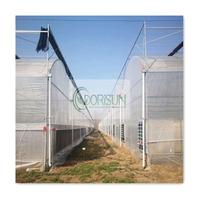 Dorisun agricultura tomate película comercial invernadero aluminio grande poli alto túnel marco invernadero