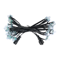 Lumières LED carrées à pixels WS2811 de 12 mm, IP67, guirlandes lumineuses décoratives avec corps en PC, dimmables pour utilisation en jardin