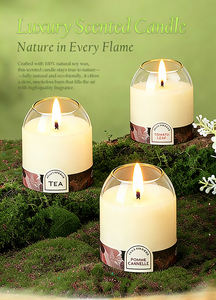 Factory Supplier <strong>Tomato</strong> Leaf Notes Aromatherapy <strong>Candle</strong> Jar <strong>Candles</strong> Scented Luxury Private Label Scented <strong>Candle</strong> - Product Image 3
