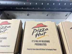 FocusInc fabrika doğrudan satış UV tek geçiş yazıcı kağıdı fincan yazıcı Pizza kutu baskı makinesi