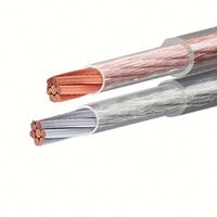 Fil de haut-parleur en cuivre toronné OFC transparent à 2 conducteurs 16 AWG 1,2 mm² de qualité audio