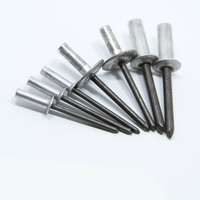 Rivets aveugles professionnels en aluminium à tête bombée, extrémité fermée avec mandrin en acier