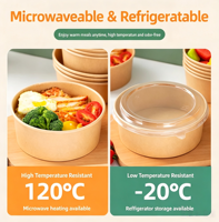 500ml Wegwerp Papieren Saladekom voor Feestjes, Op Maat, Groothandel