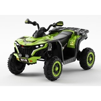 Vente d'usine : Voiture jouet à pédales pour enfants, quad en plastique PP avec télécommande, fonctionnant sur batterie, pour 2-4 ans, cadeau populaire