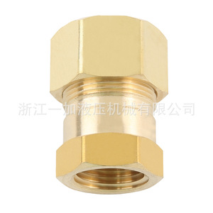 Raccord fileté mâle NPTF en laiton Zhejiang Yijia Hydraulics pour tuyau ou flexible en cuivre, usage pneumatique pour camions - Product Image 3