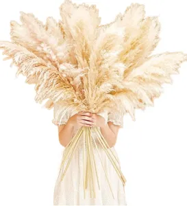 Flores Secas Pu Wei con Pelaje Gris, Cañas Grandes, Decoración de Boda Pu Wei, Estilo Nórdico, Pequeñas Cañas de Flores Secas - Product Image 1