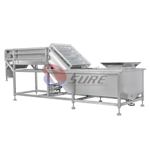 Fish Shrimp Ice Coating Machine/Fish Ball Ice Glazer Machine/Fish Fillet Ice Glazing Machine