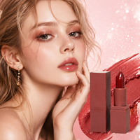 LSFAIRY LS178 Rojo Cereza, Lápiz Labial de Larga Duración Premium, Resistente al Agua y al Sudor, Sets al por Mayor, Logotipo Personalizado, Vegano, Muestra Cremosa