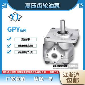 ปั๊มใบพัดแรงดันสูง gpy 3R 4R 5.8R 7R 8R 9R 12R 10R ปั๊มไฮดรอลิก GPY-2R สภาพ11.5R ใหม่และใช้แล้ว - Product Image 5