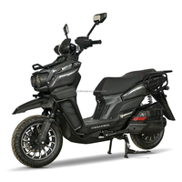 1000W Motorcycle Electrical System Adult Electric Motorcycle Electric Motorcycle Motor
