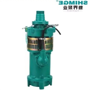 SHIMGE oil immersed <b>submersible</b> <b>pump</b> QY100-13-5.5L1 160-8-Z3 200-61 30--3.7L3 - Product Image 2