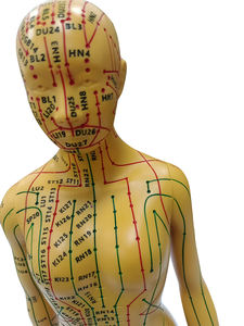 नरम pvc 52 सेमी मानव एक्यूपंक्चर मॉडल बिंदु स्पष्ट रूप से चीनी चिकित्सा शिक्षण के लिए आधार निर्धारित बिंदु - Product Image 5