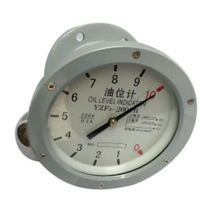 Stainless Steel Needle Type Oil Level Gauge - IP65 Waterproof for <b>Transformer</b> Maintenance - Product Image 1