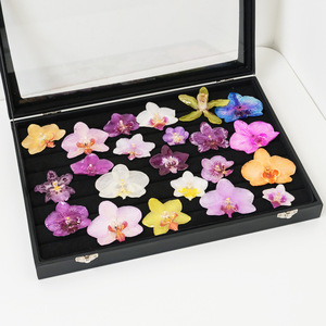 Colgantes de resina con flor de orquídea Phalaenopsis auténtica y orquídea mariposa seca para componentes de joyería DIY y broches - Product Image 5
