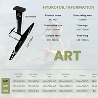 Planche de surf à haut module en carbone ART 1401 Wingfoil de pompage Wingfoil pour sports nautiques Wave Kite Surf Board FoilSurfing Hydrofoils