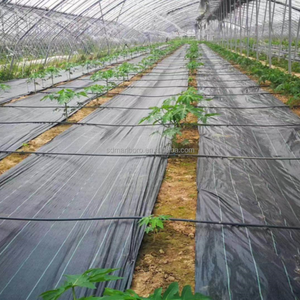 Tapis de contrôle des adventices en PP durable avec découpe professionnelle en rouleau <span class=keywords><strong>pour</strong></span> l'agriculture des vergers et des arbres fruitiers, certifié CE - Product Image 3