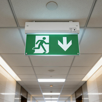 Signal de sortie LED Running Man, éclairage d'urgence avec batterie, 50 plastique CE, signal de sécurité incendie en plastique, éclairage LiFePO4, signal de sortie d'urgence