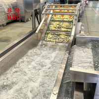 Aangepaste 2025 Nieuwe Ontwerp Automatische Dragon Fruit Wasmachine Luchtbel Reinigingsmachine Groente Wasmachine