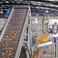 Ligne de traitement complète personnalisée des agrumes pour la fabrication de jus concentré, purée, écorces et huile
