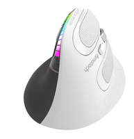 Cetakan pribadi OEM Mouse nirkabel, cetakan dapat diisi ulang vertikal 2.4Ghz BT nirkabel RGB 3 level DPI untuk PC Laptop rumah kantor