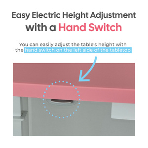 [HEDYS GROOMING] Table de toilettage électrique réglable en hauteur, entièrement rose, simple (rond, carré / simple, ensemble) artisanat haut de gamme - Product Image 6