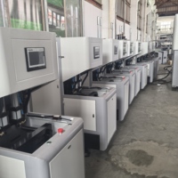 Machine de soufflage de bouteilles PET semi-automatique industrielle à 2 cavités, 380V, 100kN, pour usage chimique quotidien