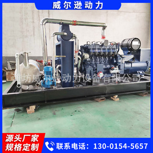 Groupe électrogène au gaz Weifang 200 kW, refroidissement par eau, 380/220 V, IP54, pour usage en élevage - Product Image 3