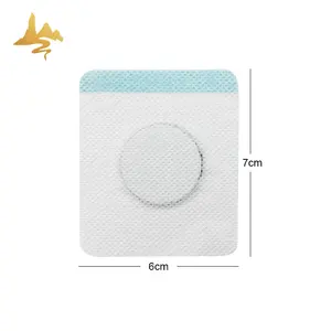 Produit de soins de santé pour enfants personnalisé Fièvre Froide Herbal Plâtre Transdermique Enfants Patch Anti Diarrhée