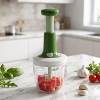 Groothandel Nieuwe Aanwinst Plastic Herbruikbare Handmatige Uiensnijder Groentesnijder Fruit- en Groentegereedschap Milieuvriendelijk