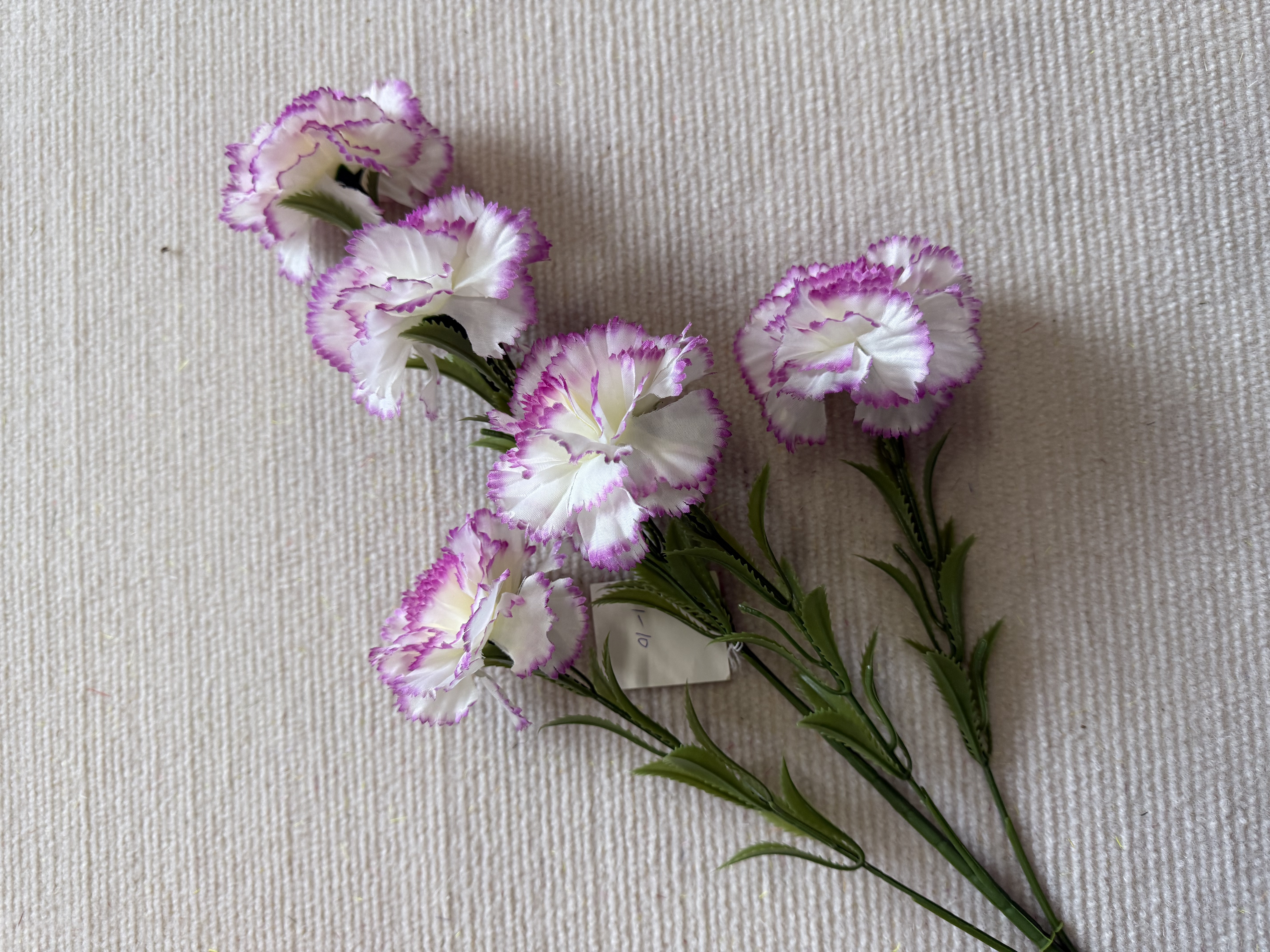 Pourpre