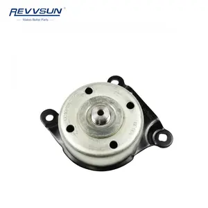 REVVSUN Auto Parts CC1Q19A216BA/1731777/CC1Q 19A216/2435473/CC1Z867BE Polea de ventilador para Ford Transit Parts