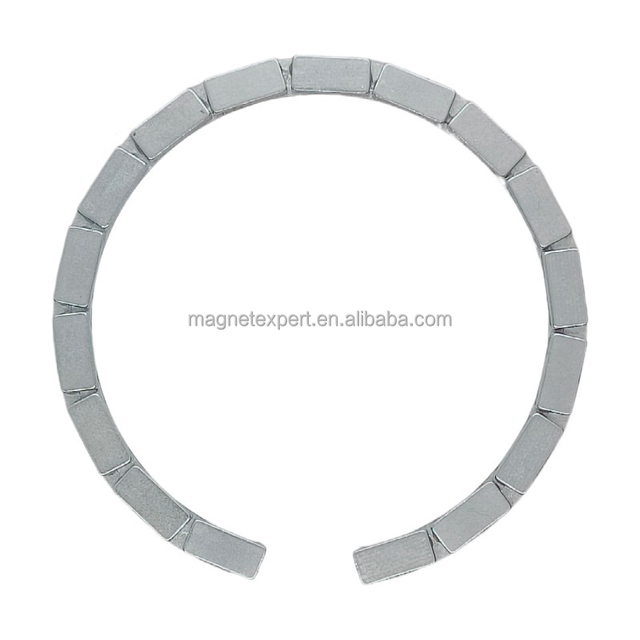 N45sh Neodymium Segment Magsafe Magnet-Industrial Use Super Strong Permanent Coated Magnet