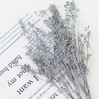 AYOYO Plantes séchées Millet Fruit Fleur Couleur naturelle pour décorations de bougies et décorations pour la maison eucalyptus fruit
