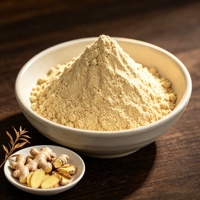 Fabricant professionnel de poudre de gingembre séché sans additifs, gingembre moulu pour assaisonnement