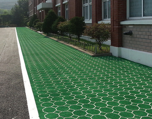 Grilles de pavage en plastique HDPE Ecoraster pour jardin, gravier, parking, route, gazon, pavés pour camions - Product Image 5