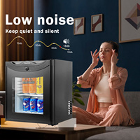 Suokang Mini réfrigérateur à ammoniac 25 litres avec porte en verre, bar, chambre d'hôtel, réfrigérateur à absorption petit