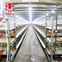 Cage à poulets de type H, cage automatique à 5 niveaux, alimentation et abreuvement, système de collecte des œufs, abreuvoir à tétine, galvanisée
