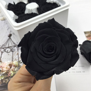 <span class=keywords><strong>Rose</strong></span> Nere Preservate con Tecnologia Avanzata, Composizione di <span class=keywords><strong>Rose</strong></span> Conservate, Fiori Preservati di Grado A - Product Image 1