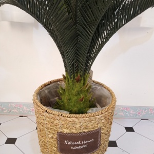 Alta calidad artificial bonsái de plástico plantas de sagú <span class=keywords><strong>cycas</strong></span> - Product Image 5