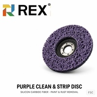 Disque de nettoyage et de décapage en carbure de silicium REX 4" 4.5" 5" 100/115/125/150/180mm Grain 36-150 pour décapage de peinture et nettoyage Certifié TUV