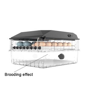 Thương Mại Thông Minh Hộ Gia Đình Dual Power Supply 1 Lớp 64 Lồng Ấp Trứng Haching Trứng Lồng Ấp <span class=keywords><strong>Fan</strong></span> Đối Với Lồng Ấp - Product Image 4